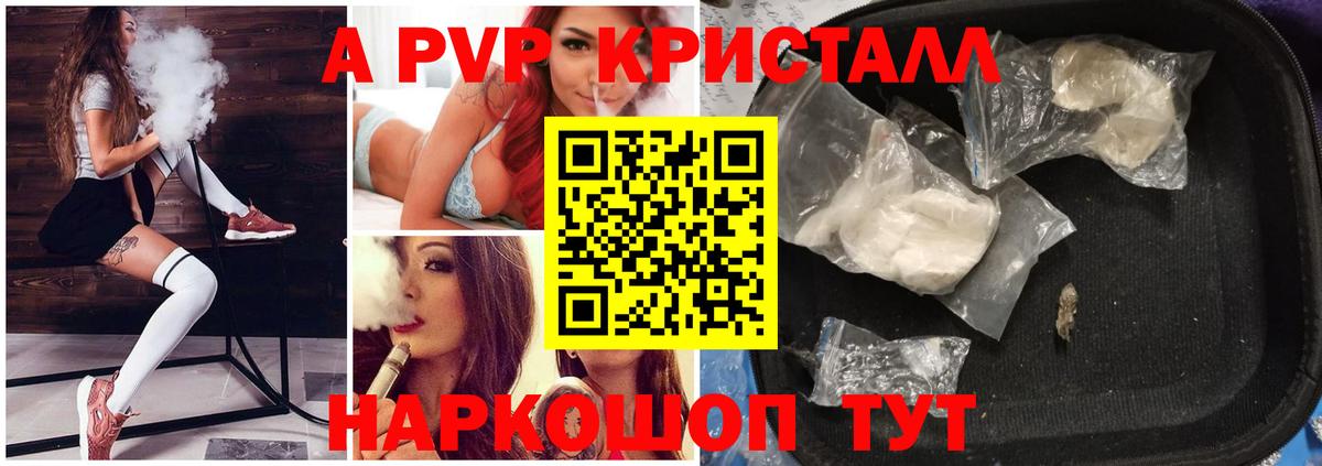 Alfa_PVP СК КРИС Черкесск
