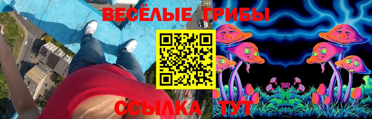 Псилоцибиновые грибы Cubensis  Псилоцибиновые грибы Psilocybe  Черкесск  Вход с VPN 